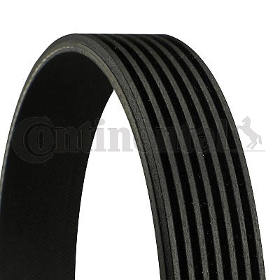 Ribbed belt for - belt,