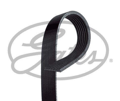 Ribbed belt for nissan opel - nissan,