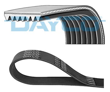 Ribbed belt for - v-ribbed, opel